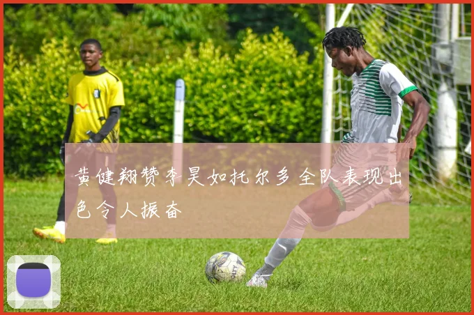 黄健翔赞李昊如托尔多全队表现出色令人振奋