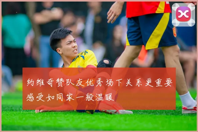 约维奇赞队友优秀场下关系更重要感受如同家一般温暖